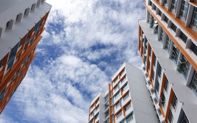 individualizacion Remica