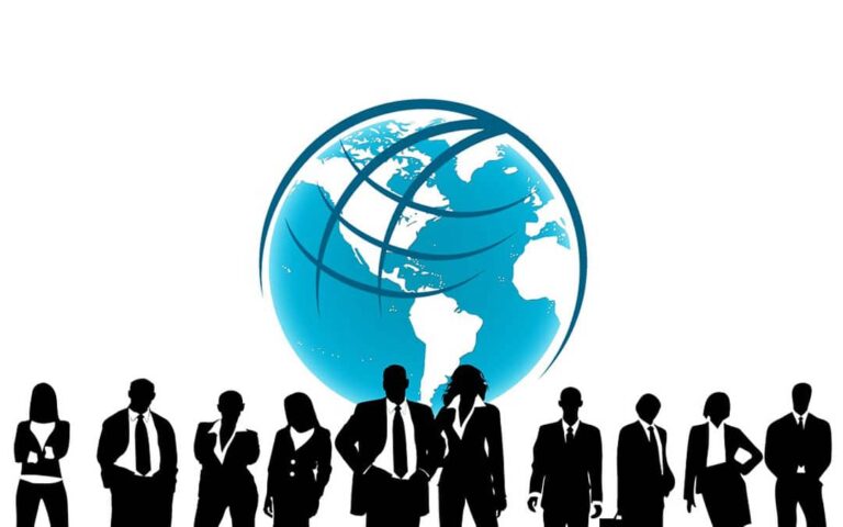 tipos de perfiles profesionales