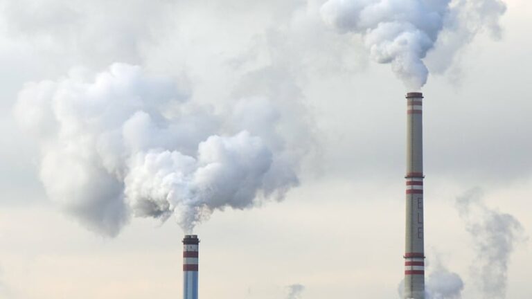 combustibles fósiles