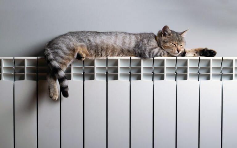 informe sector calefacción 2019