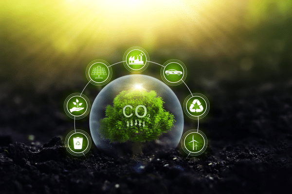 Sostenibilidad Sostenibilidad